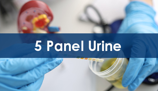 5 Panel Urine 6am Arcpoint Labs